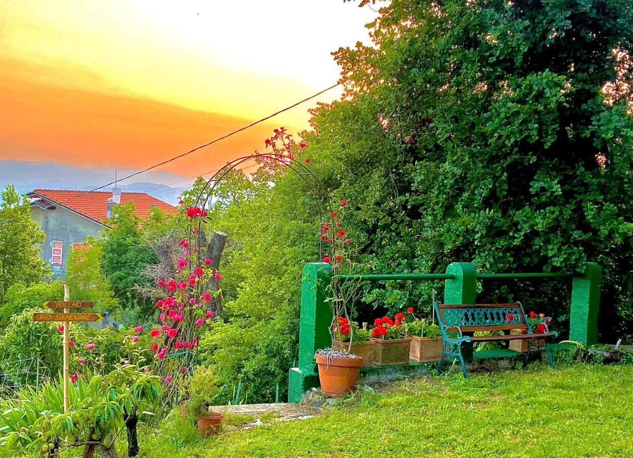 La Ginestra B&B Fosdinovo Exterior foto